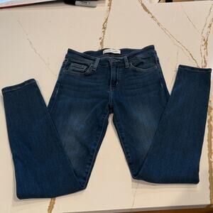 Flying Monkey Mid Rise Blue Skinny Jeans